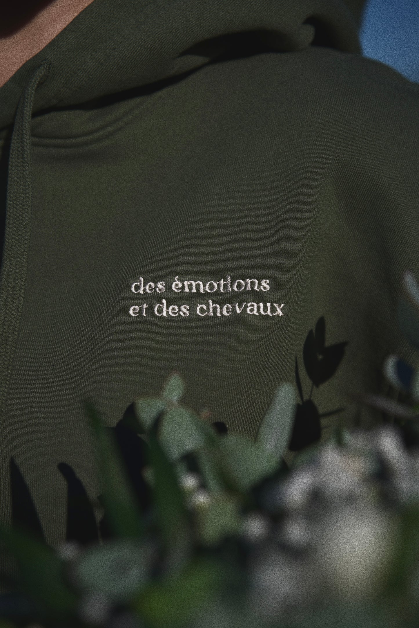 SWEAT À CAPUCHE ÉMOTIONS ET CHEVAUX